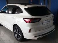 Usado Ford Kuga ST-Line X 225 CV (165 kW) 2020 Blanco SUV
