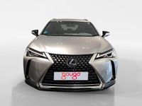 Usado Lexus UX 250h Business Edition 184 CV (135 kW) 2022 Otro SUV