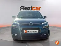 Usado Citroën C4 Cactus Feel 110 CV (80 kW) 2019 Verde Utilitario