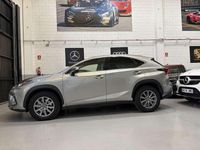 Usado Lexus NX300h Business Edition 197 CV (144 kW) 2018 Gris / plata SUV