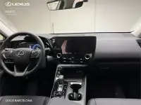 Usado Lexus NX350h 198 CV (145 kW) 2026 Otro SUV