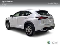 Usado Lexus NX300h Business Edition 197 CV (144 kW) 2019 Blanco SUV