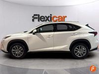 Usado Lexus NX300h Executive Line 197 CV (144 kW) 2020 Blanco SUV