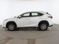 Usado Lexus NX300h Business Edition 197 CV (144 kW) 2020 Blanco SUV