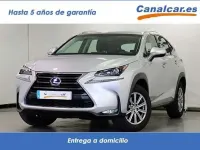 Usado Lexus NX300h Business Edition 154 CV (113 kW) 2018 Gris SUV