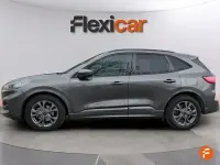 Usado Ford Kuga ST-Line 120 CV (88 kW) 2024 Gris SUV