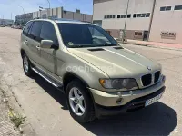 Usado BMW X5 231 CV (169 kW) 2001 Beige SUV