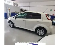 Occasion Fiat Punto Young 67 PK (49 kW) 2014 Wit Hatchback