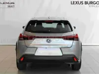 Usado Lexus UX Business Edition 184 CV (135 kW) 2022 Gris / plata SUV