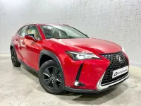 Usado Lexus UX 250h Business Edition 184 CV (135 kW) 2022 Rojo SUV