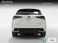 Usado Lexus NX300h Business Edition 197 CV (144 kW) 2019 Blanco SUV