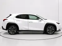 Usado Lexus UX 250h 184 CV (135 kW) 2020 Blanco SUV