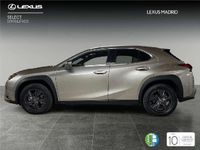 Usado Lexus UX 2024 SUV