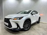Usado Lexus NX450h+ Executive Line 306 CV (225 kW) 2023 Blanco SUV