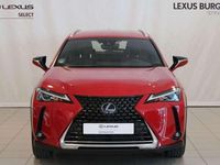 Usado Lexus UX 250h Business Edition 184 CV (135 kW) 2021 Rojo SUV