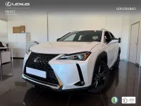 Usado Lexus UX 250h Business Edition 184 CV (135 kW) 2022 Blanco SUV