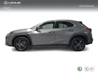 Usado Lexus UX Business Edition 184 CV (135 kW) 2022 Gris / plata SUV