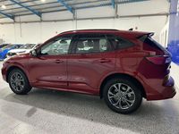 Usado Ford Kuga ST-Line 225 CV (165 kW) 2023 Rojo SUV