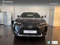 Usado Lexus UX 300h 199 CV (146 kW) 2025 Gris SUV