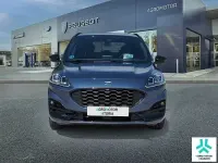 Usado Ford Kuga ST-Line X 150 CV (110 kW) 2023 Azul SUV