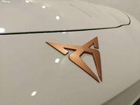 Usado Cupra Terramar 150 CV (110 kW) 2024 Blanco SUV