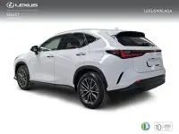 Nuevo Lexus NX450h+ 292 CV (214 kW) 2026 Blanco SUV