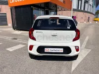 Usado Kia Picanto 67 CV (49 kW) 2023 Blanco Utilitario