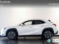 Usado Lexus UX 250h Executive Line 184 CV (135 kW) 2020 Blanco SUV