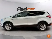 Occasion Ford Kuga Trend+ 120 PK (88 kW) 2019 Wit SUV