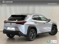 Usado Lexus UX 250h 184 CV (135 kW) 2024 Blanco SUV
