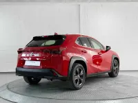 Usado Lexus UX 199 CV (146 kW) 2025 Rojo SUV