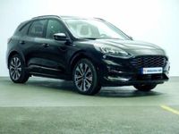 Usado Ford Kuga ST-Line X 190 CV (139 kW) 2021 SUV