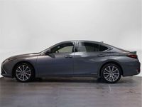 usado Lexus ES300 300h Business