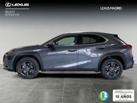 Usado Lexus UX 250h 184 CV (135 kW) 2023 Gris SUV