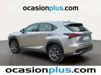 Usado Lexus NX300h Business Edition 197 CV (144 kW) 2017 Gris SUV