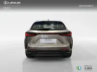 Nuevo Lexus NX350h 197 CV (144 kW) 2026 Otro