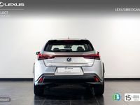 Usado Lexus UX 250h Luxury Line 184 CV (135 kW) 2019 Gris SUV