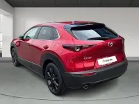 Usado Mazda CX-30 Homura-Line 150 CV (110 kW) 2023 SUV