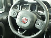 usado Fiat Panda 1.0 Gse City Live Hybrid