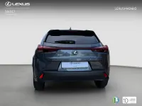 Usado Lexus UX Business Edition 184 CV (135 kW) 2022 Gris SUV