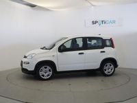 usado Fiat Panda 1.0 MHEV 70 5P