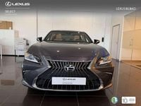 Usado Lexus ES300 218 CV (160 kW) 2025 Gris Berlina