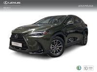 Nuevo Lexus NX450h+ Executive Line 306 CV (225 kW) 2025 Verde SUV