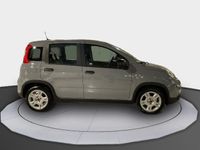 usado Fiat Panda -1.0 MHEV S/S 70CV 5P