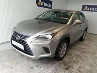 Usado Lexus NX300h Business Edition 197 CV (144 kW) 2021 Gris SUV