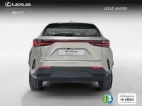 Usado Lexus NX300h Business Edition 242 CV (177 kW) 2022 Plateado SUV