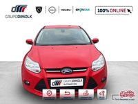 Usado Ford Focus Titanium 115 CV (84 kW) 2012 Rojo Utilitario