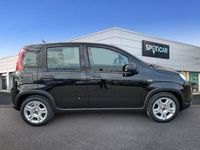 usado Fiat Panda 1.0 Gse Hybrid