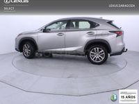 Usado Lexus NX300h Executive Line 197 CV (144 kW) 2015 Gris SUV