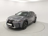 usado Lexus UX 250h Business 2wd